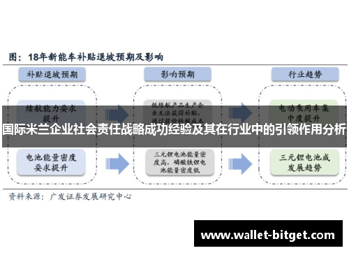 国际米兰企业社会责任战略成功经验及其在行业中的引领作用分析